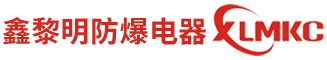 溫州市王偉電子有限公司